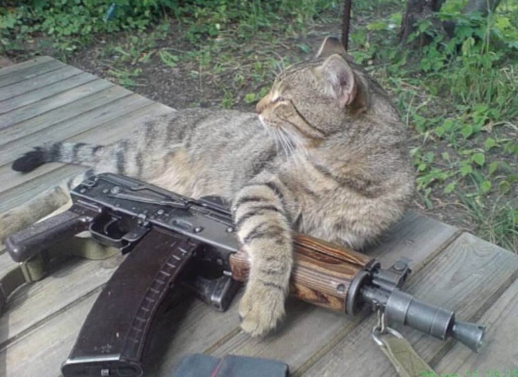 0Безымянный.jpg
