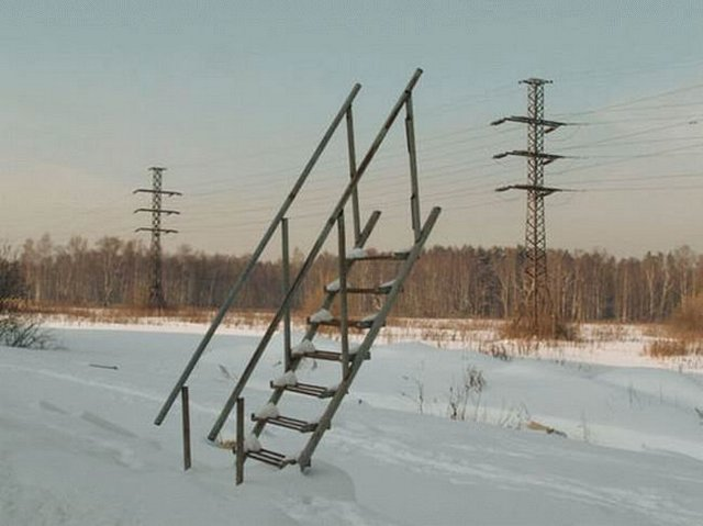 scale_1200.png