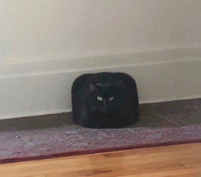 FJdvyzdXoAku0Hg.jpg
