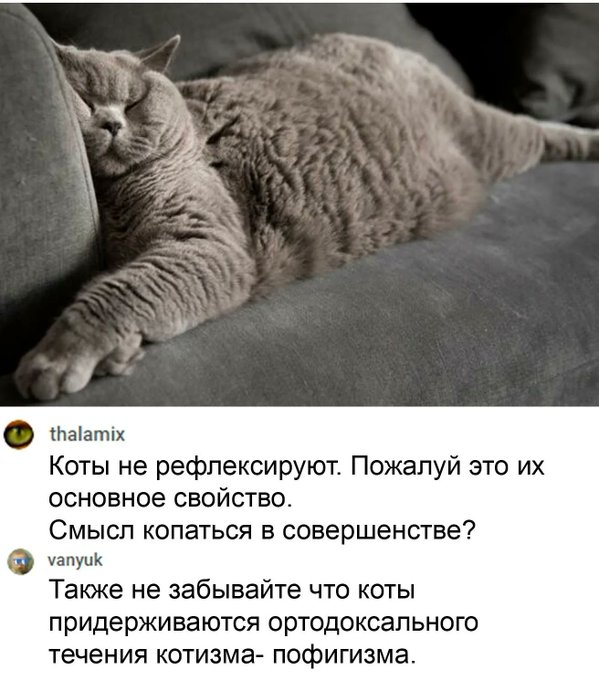 FKBy7DpWYAs-0t-.jpg