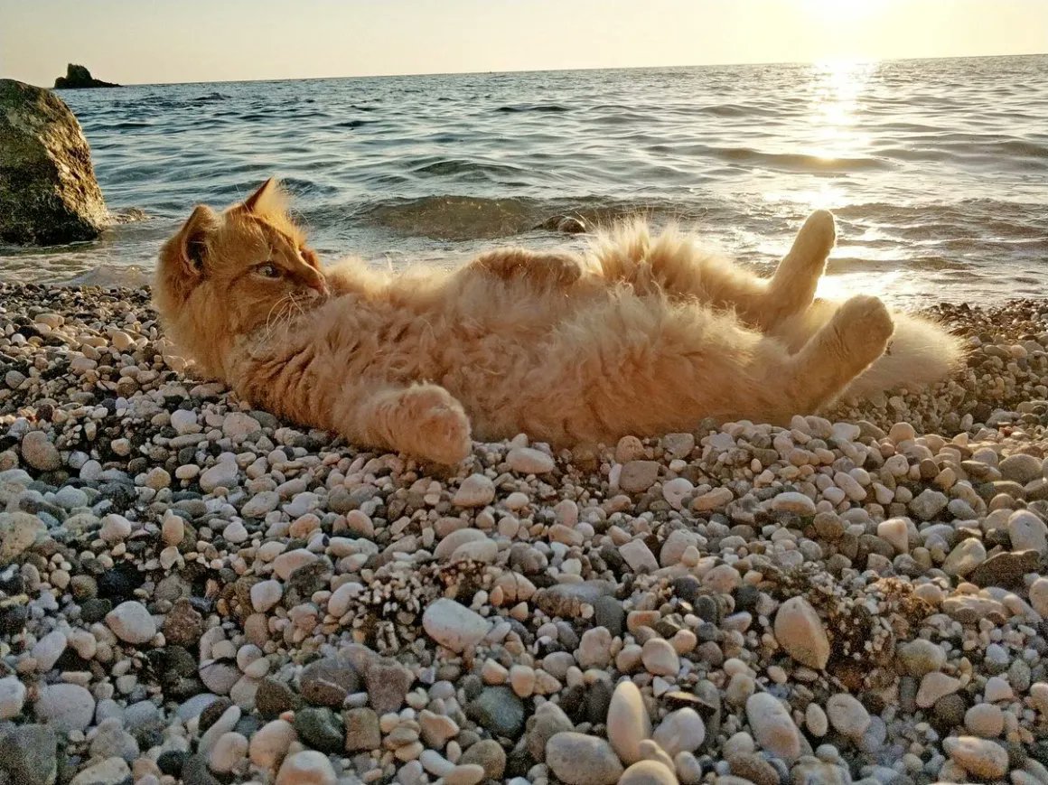 Приколы наши на море
