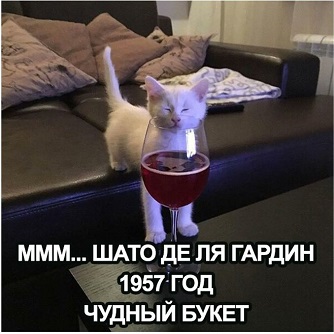 FKmRSSQX0AAilIP.jpg