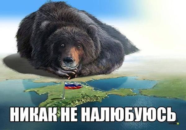 взятка 4.jpg