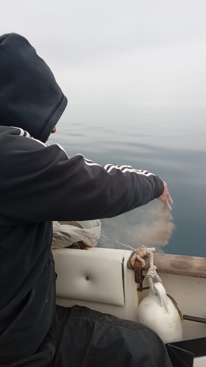 Света море.jpg