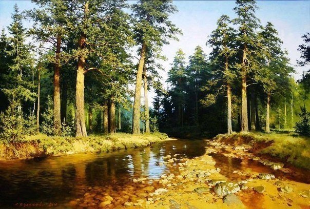 MsWBIaa2Nq9T30_lWzyNxjIYEN2PBsZ_PjmDzx-XLgcWUhNWSp7bQ5Nq8IZ7s5lwhpS3j5VNO3y0H63vNFAKm4fl.jpg