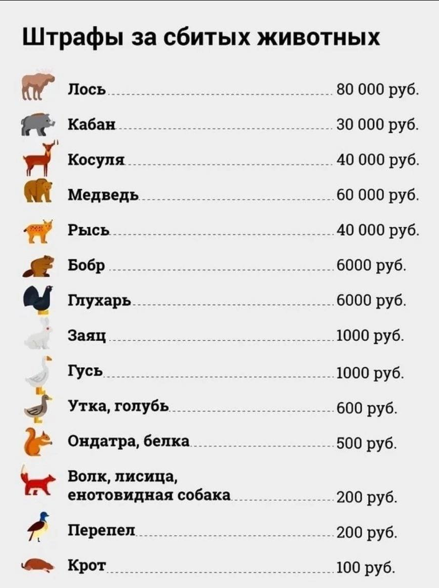 upload_2022-10-4_23-46-21.png