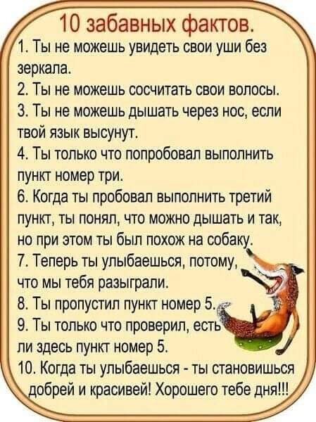 изображение_viber_2022-10-22_21-07-05-160.jpg