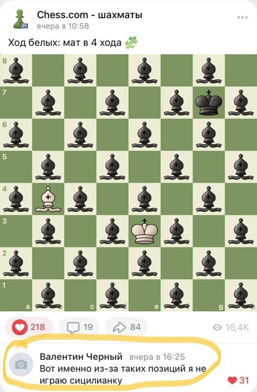 345864723_184043394589632_735751168782728918_n.jpg