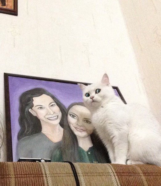 ApkNXHFaK3o.jpg