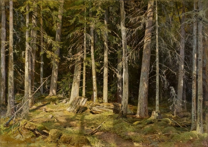 WmUQE-ymlEU.jpg