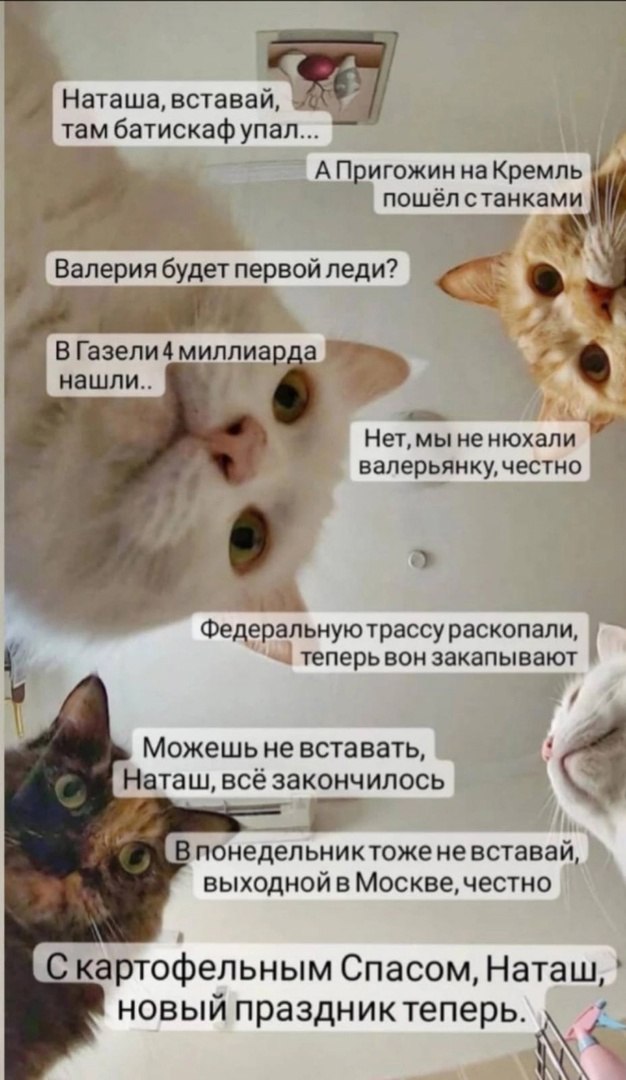 чичсяичсяичсяис.jpg