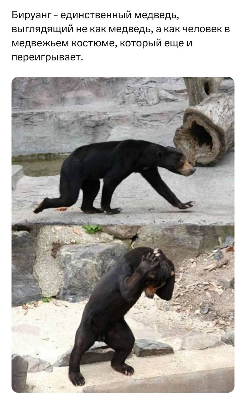 Безымянный.jpg