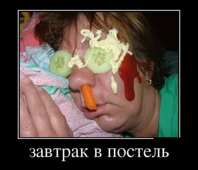 остер 65б.jpg