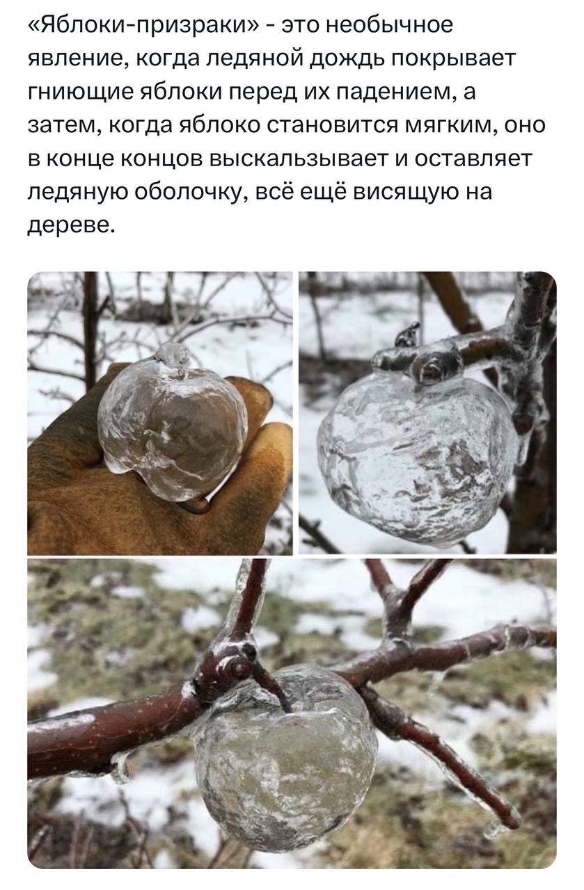 Безымянный.jpg