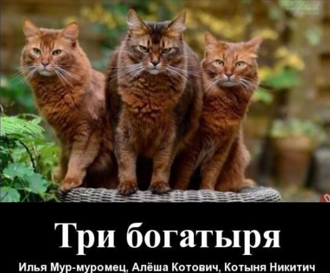 Безымянный.jpg