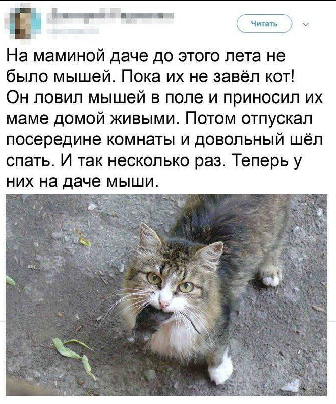 upload_2023-11-7_15-7-40.png