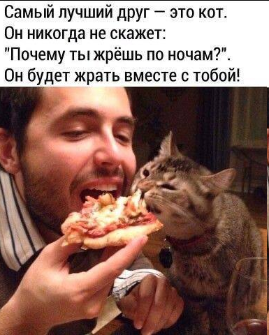upload_2023-11-12_13-34-48.png