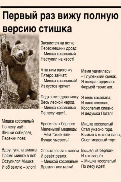 Мишка.jpg
