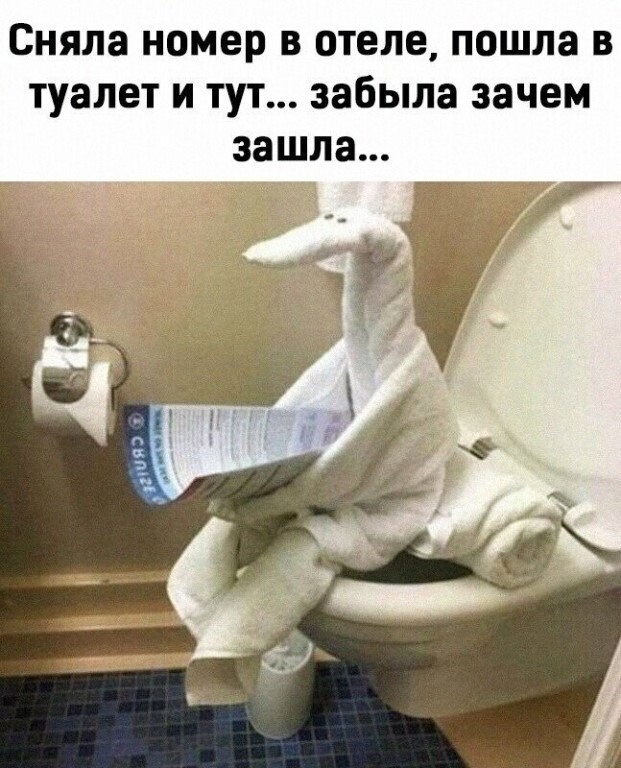 Туалет.jpg