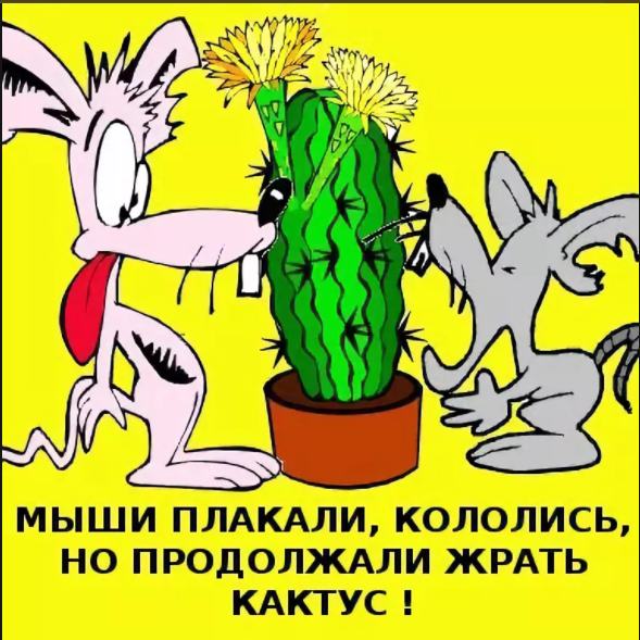 upload_2023-11-26_16-7-29.png