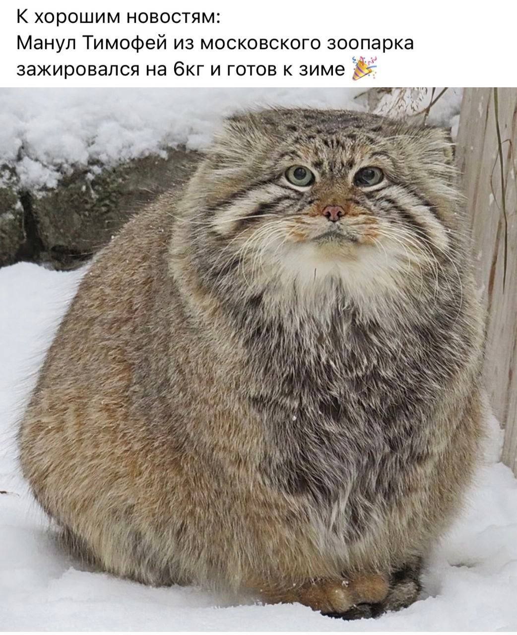 Безымянный.jpg