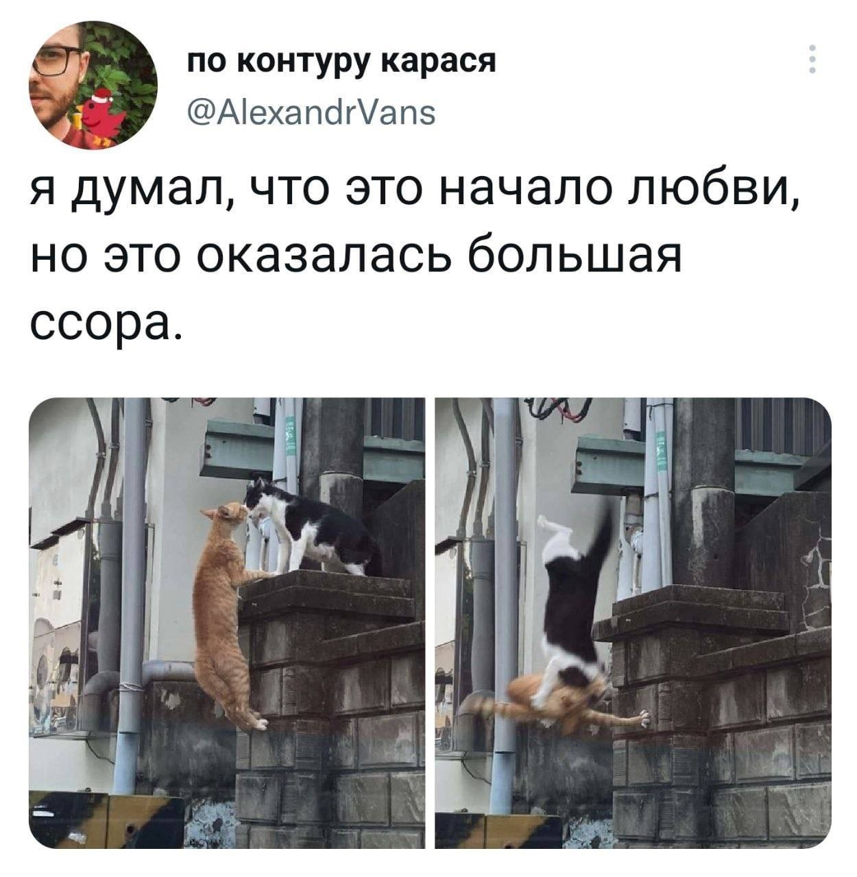 Безымянный.jpg