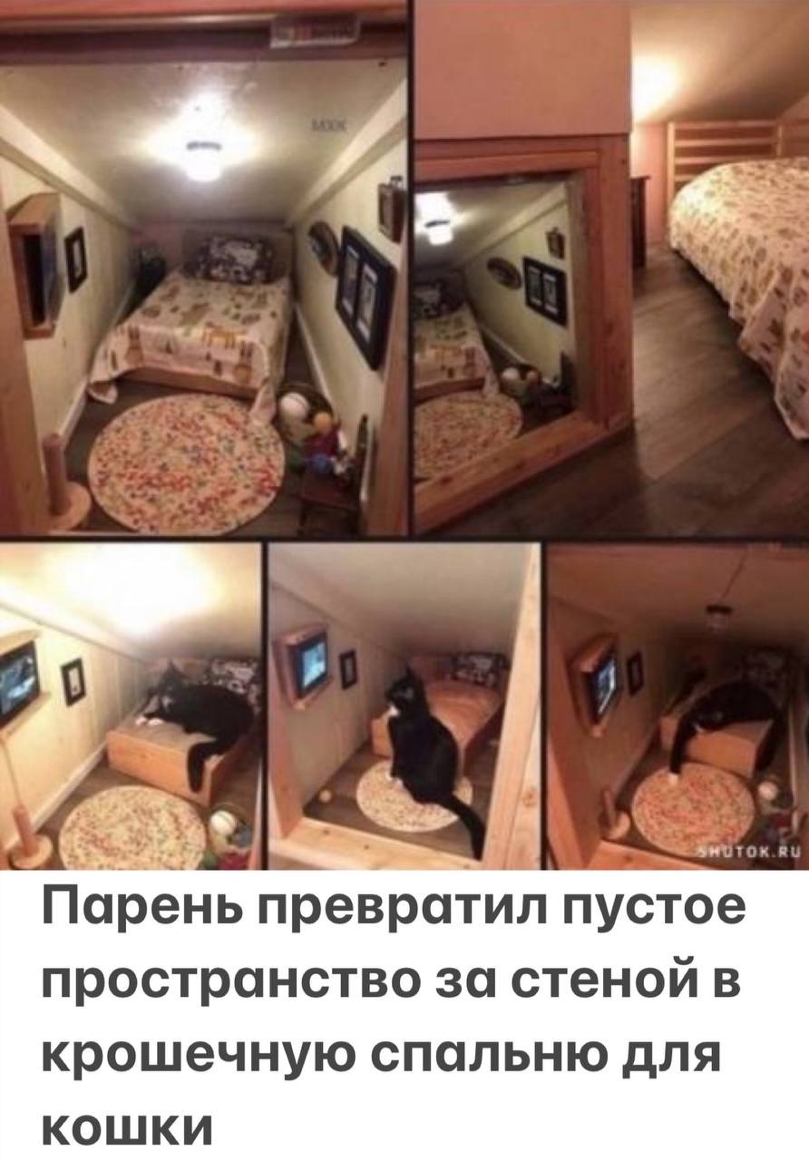 Безымянный.jpg