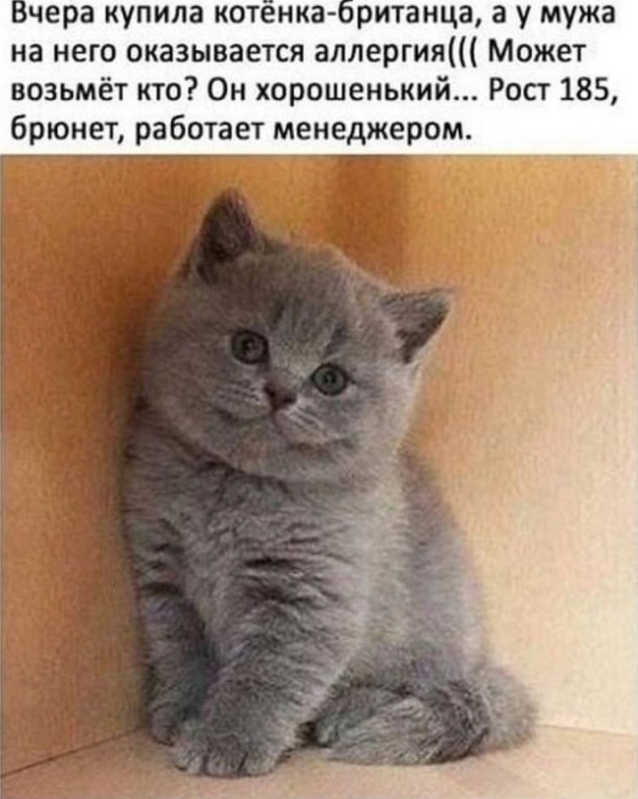 Безымянный.jpg