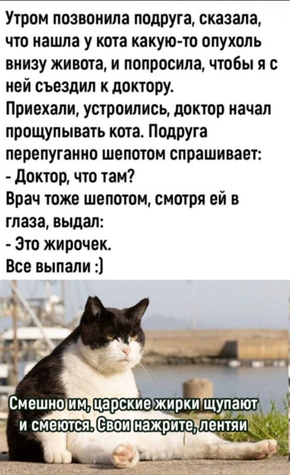 upload_2023-12-19_22-8-13.png