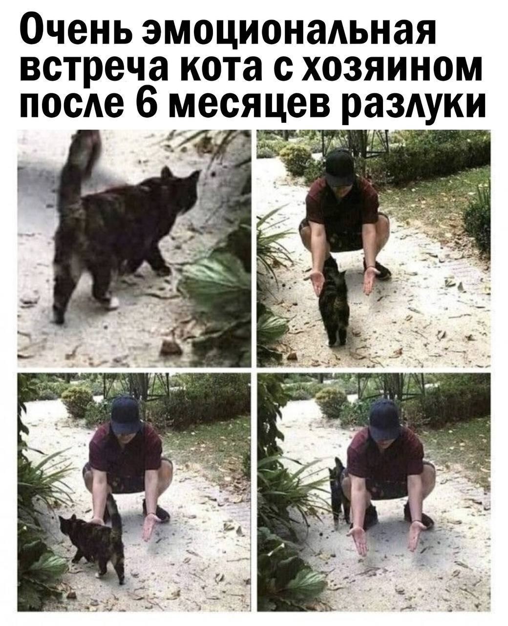 Безымянный.jpg