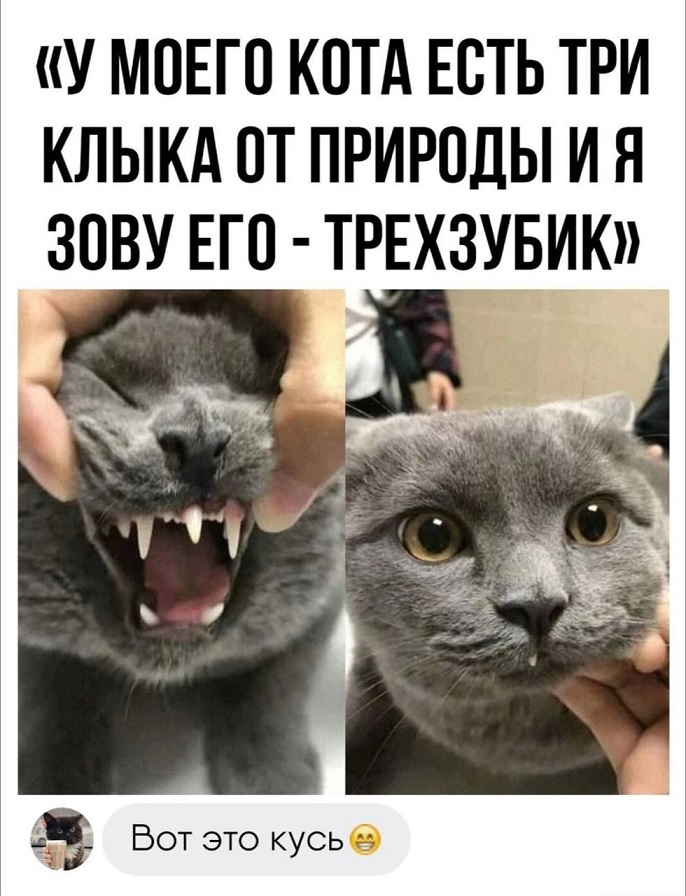 Безымянный.jpg
