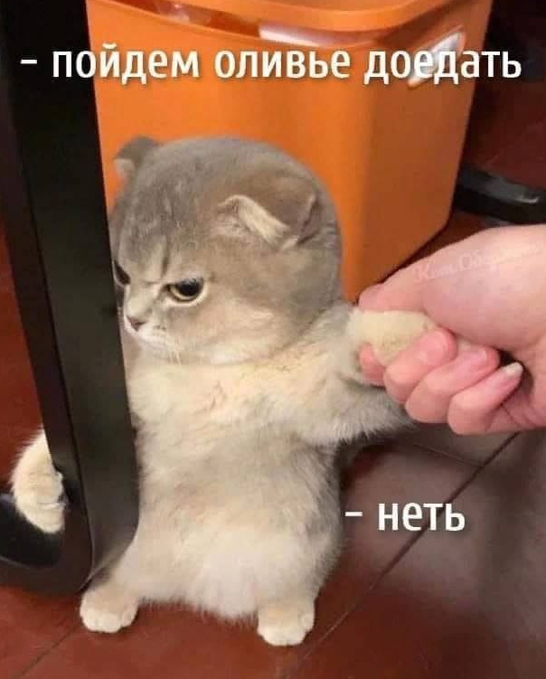 upload_2024-1-6_22-56-14.png