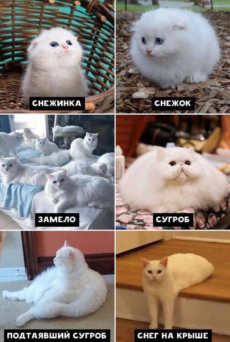 Безымянный.jpg