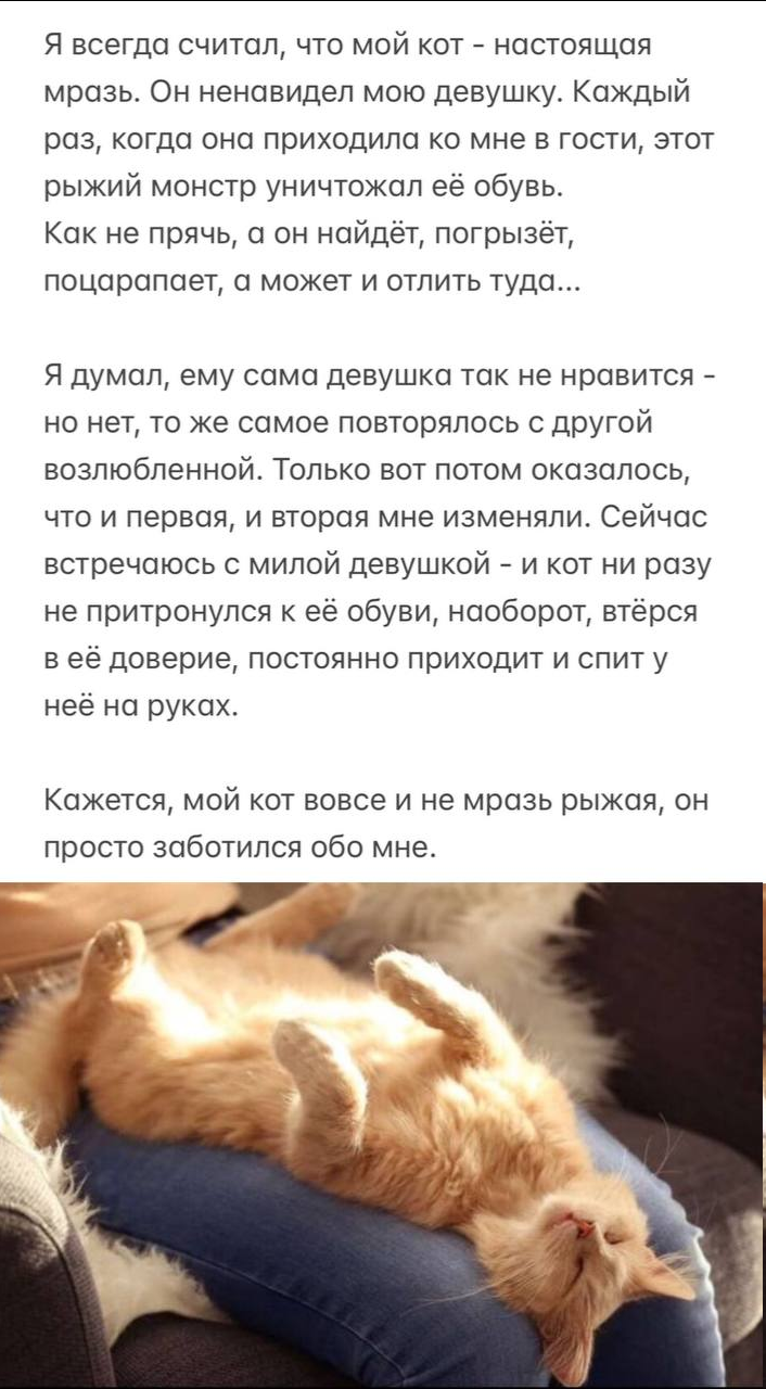 upload_2024-1-24_22-4-0.png