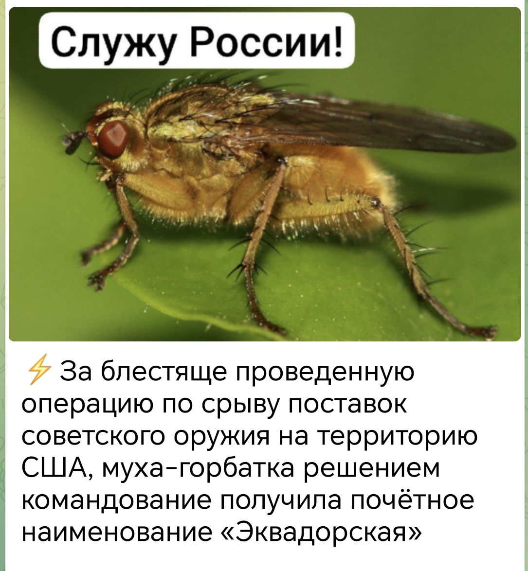 Screenshot_20240217_165637.jpg