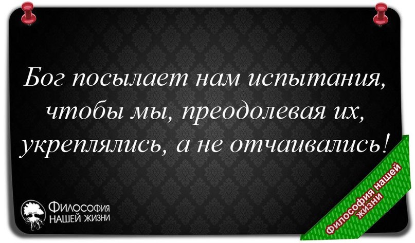 upload_2024-2-26_20-28-33.jpeg