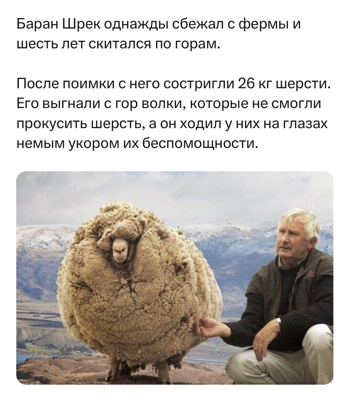 Безымянный.jpg