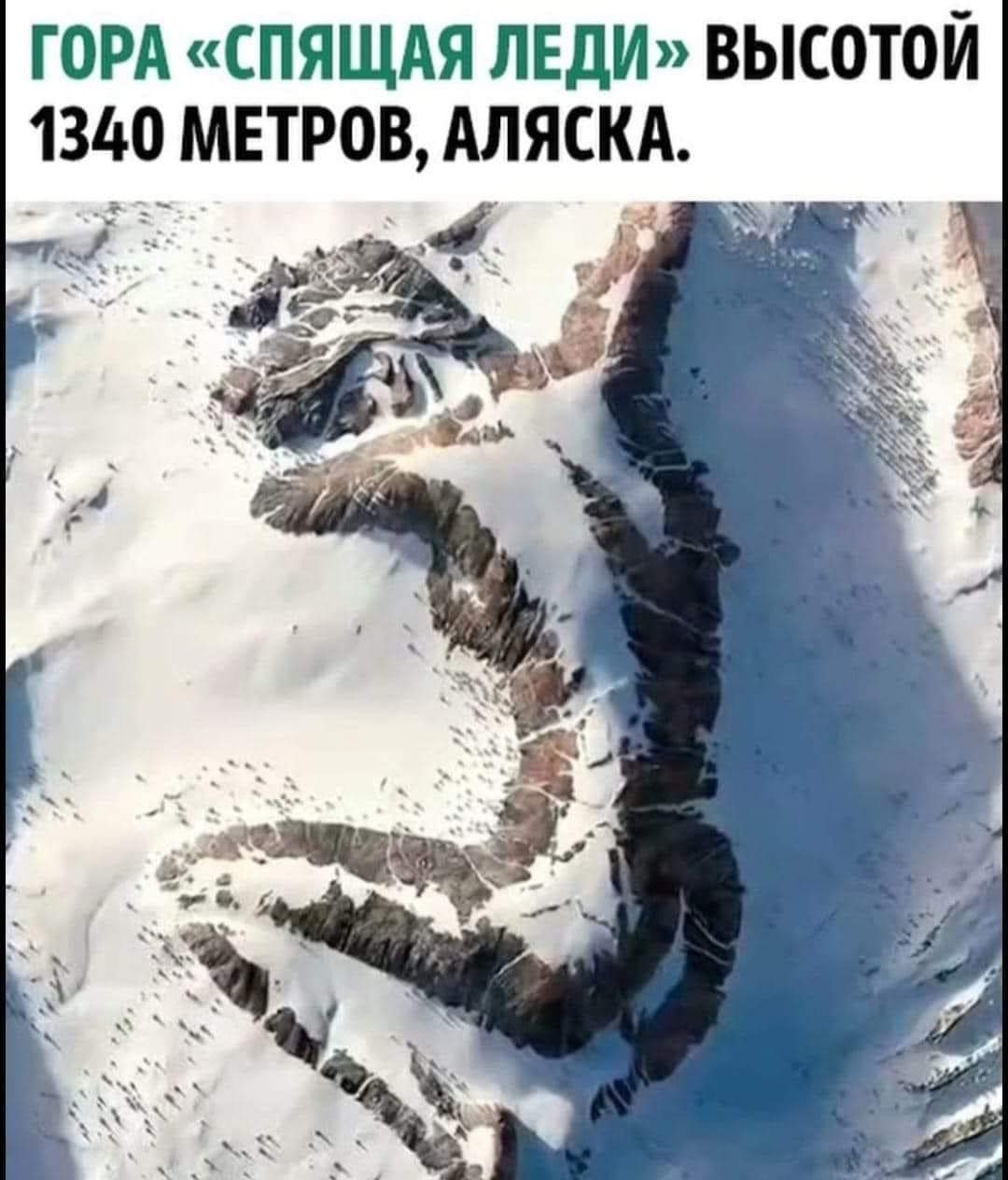 Леди.jpg