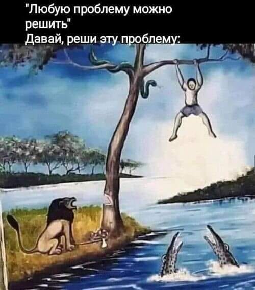 Реши.jpg