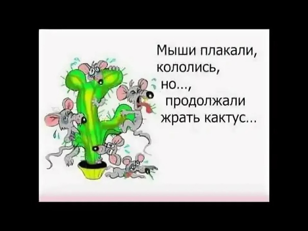 Мыши кололись.jpg
