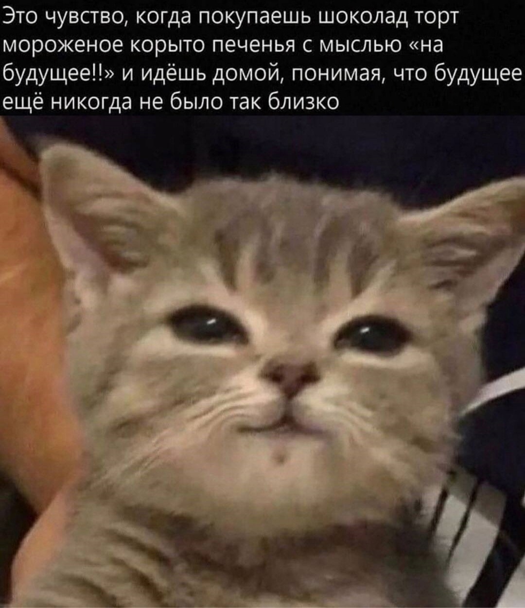 Oydus6atr0I.jpg