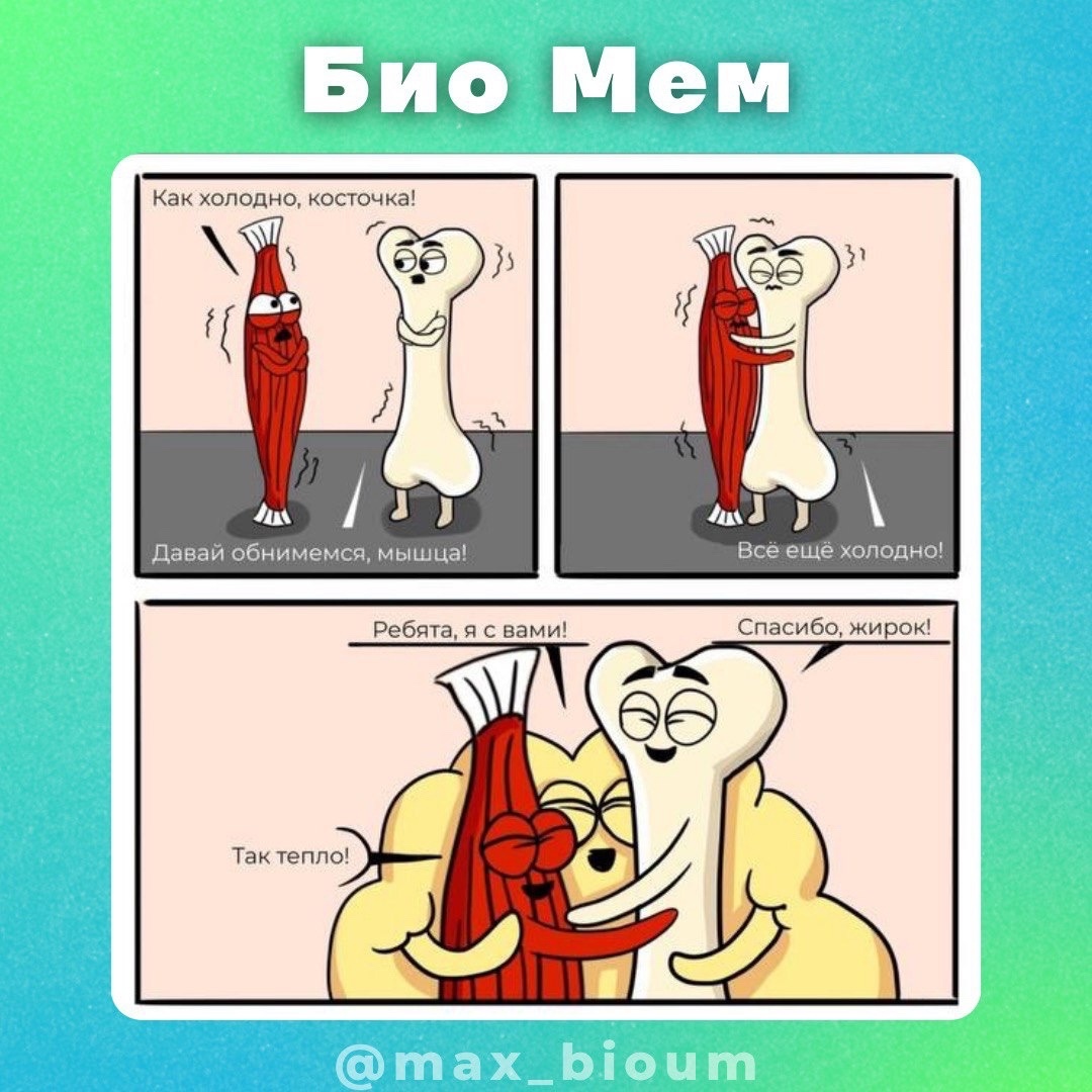 LHxqsA3gy0Q.jpg