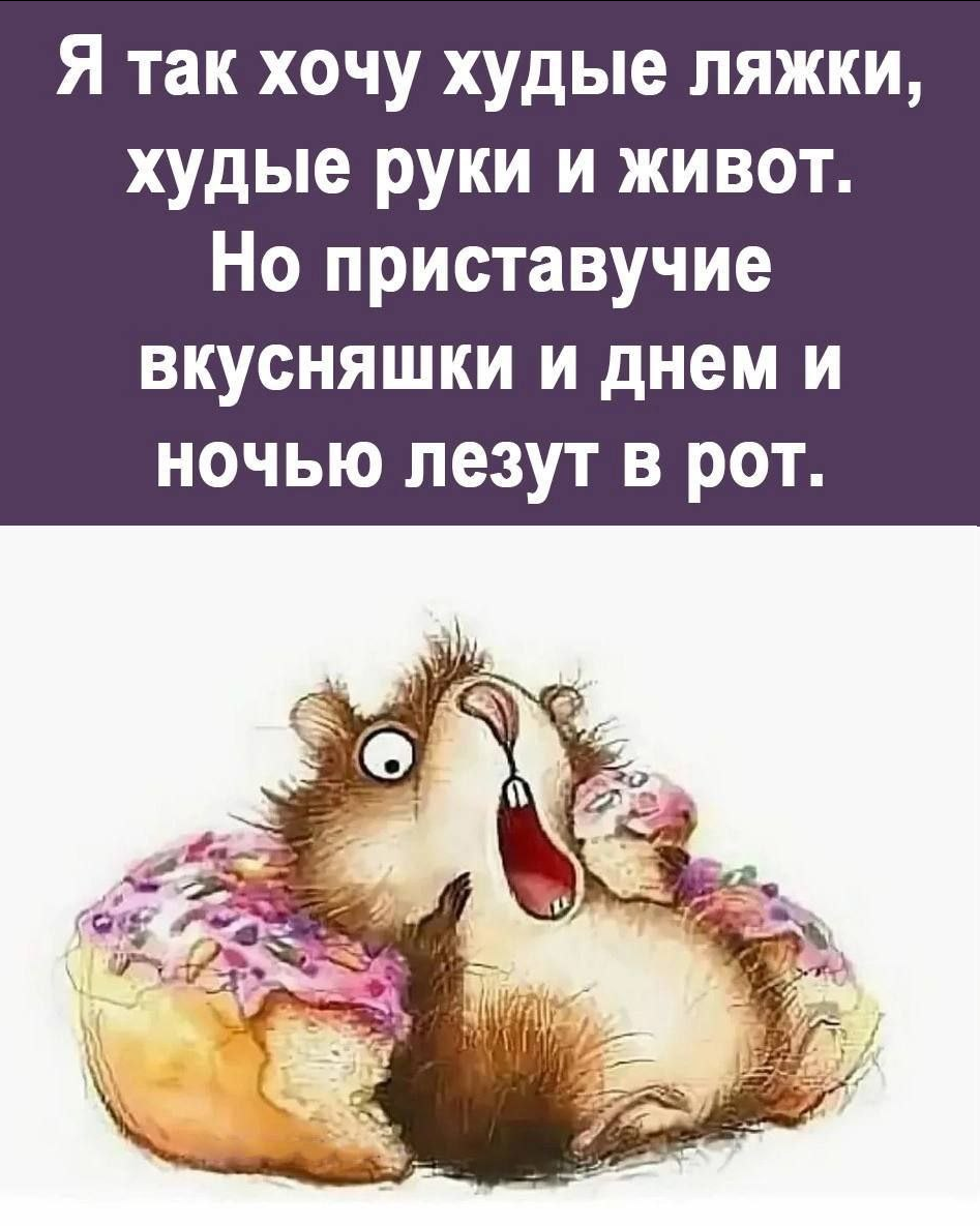 upload_2024-7-28_0-52-23.png