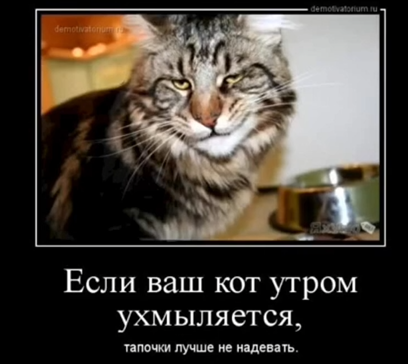 upload_2024-8-20_20-50-56.png