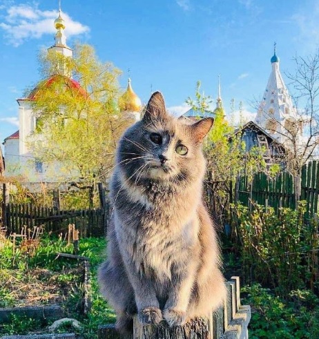 Безымянный.jpg