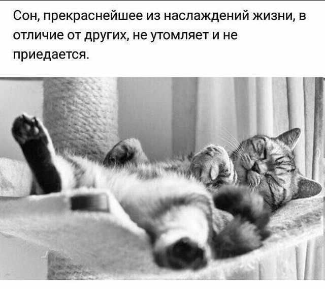 upload_2024-8-23_23-44-12.png