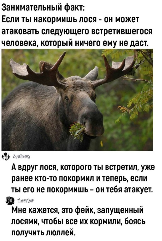 Безымянный.jpg