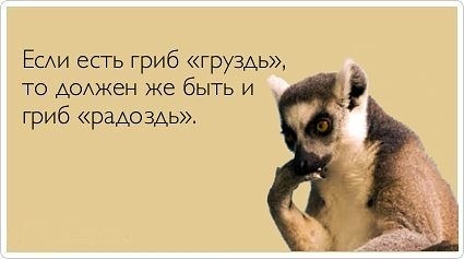 original-6.jpg