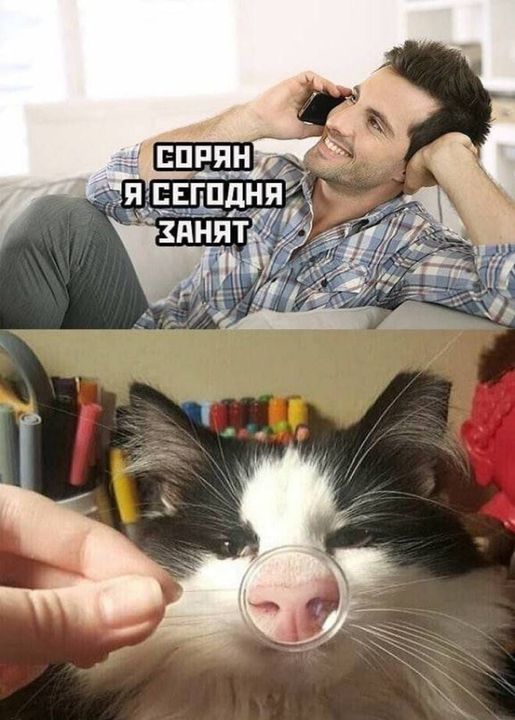сорян.jpg