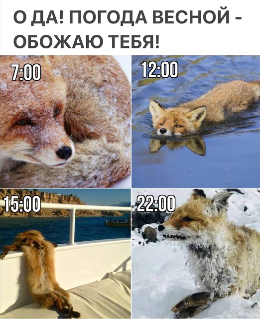 upload_2025-5-5_8-33-43.png